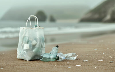 Plastic Waste: A Looming Threat to Our Planet