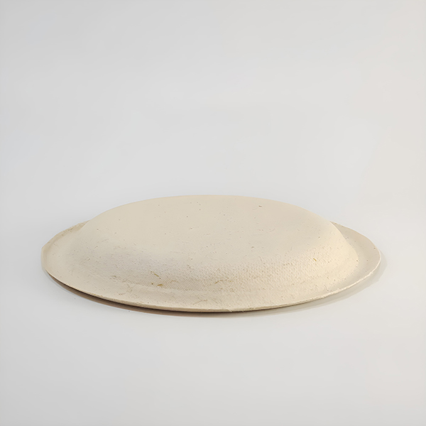 P004 - Image 3