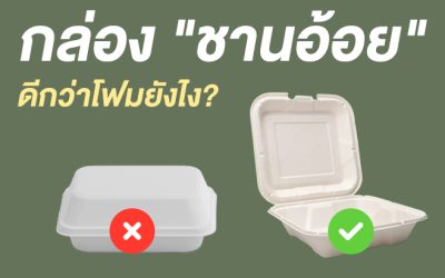 กล่อง “ชานอ้อย” ดีกว่าโฟมยังไง?