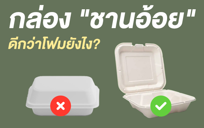 กล่อง “ชานอ้อย” ดีกว่าโฟมยังไง?